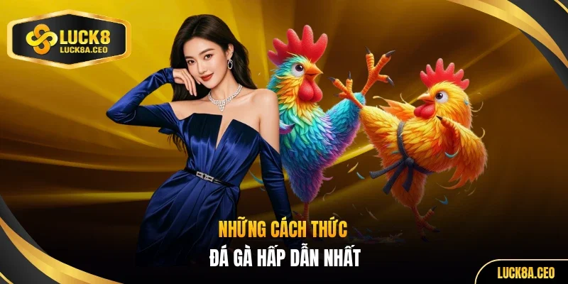 Những cách thức đá gà hấp dẫn nhất