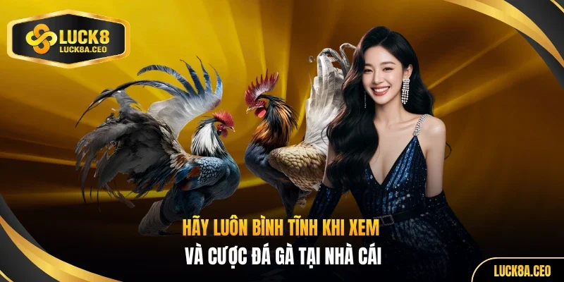 Hãy luôn bình tĩnh khi xem và cược đá gà tại nhà cái